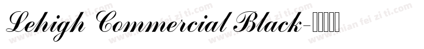 Lehigh Commercial Black字体转换